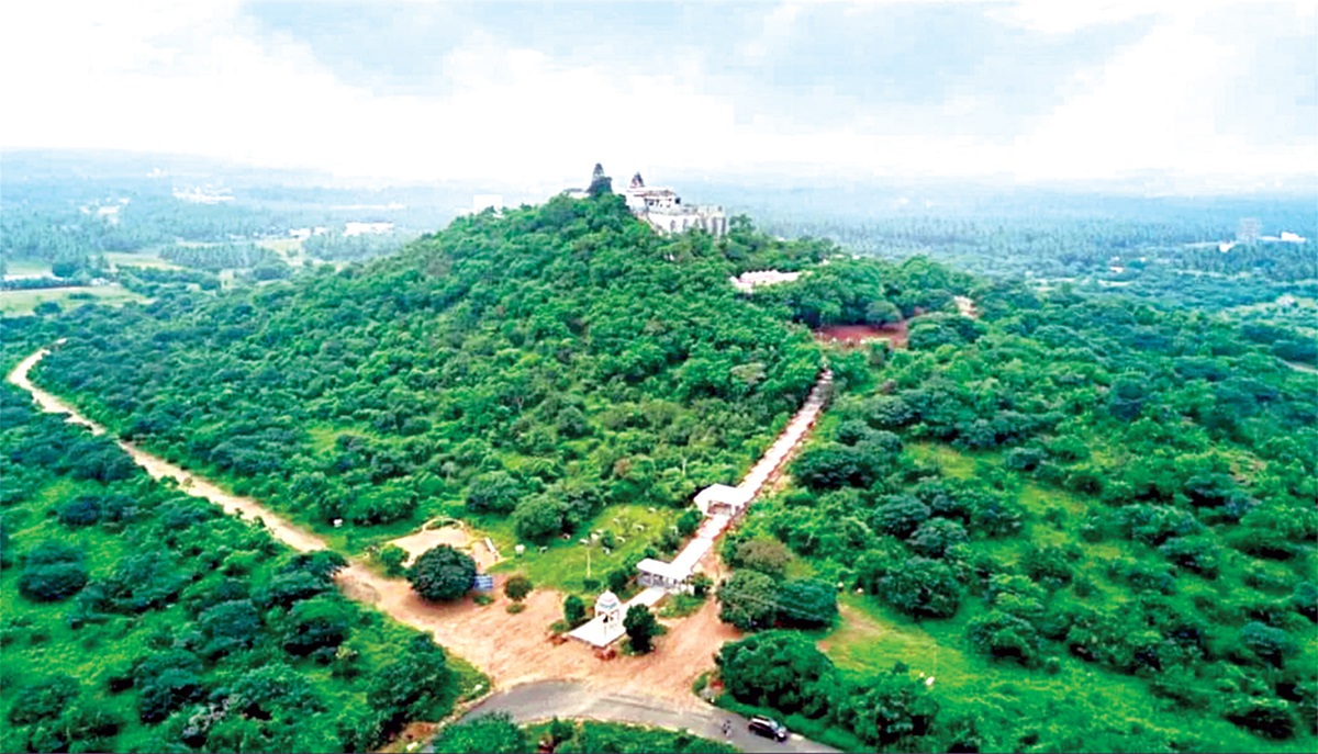 தொழில் விருத்தி அருளும் அலகுமலை முத்துக்குமாரசுவாமி | பரிகார ஸ்தலங்கள்