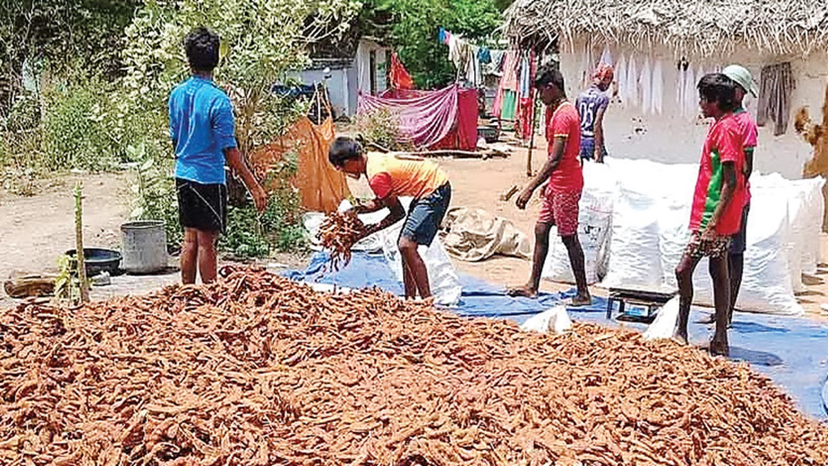 இது ஒரு ‘புளி’ காலம்