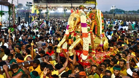 படங்கள்: எஸ்.கிருஷ்ணமூர்த்தி, நா.தங்கரத்தினம்