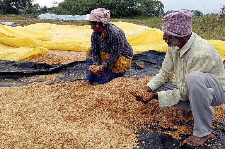 மழையால் பாதிக்கப்பட்ட நெற்பயிர்களுக்கு உடனடியாக இழப்பீடு வழங்க வேண்டும்: அன்புமணி