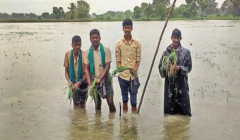 டெல்டா மாவட்டங்களில் விடிய விடிய கொட்டித் தீர்த்த கனமழை - இயல்பு வாழ்க்கை பாதிப்பு; பயிர்கள் சேதம்