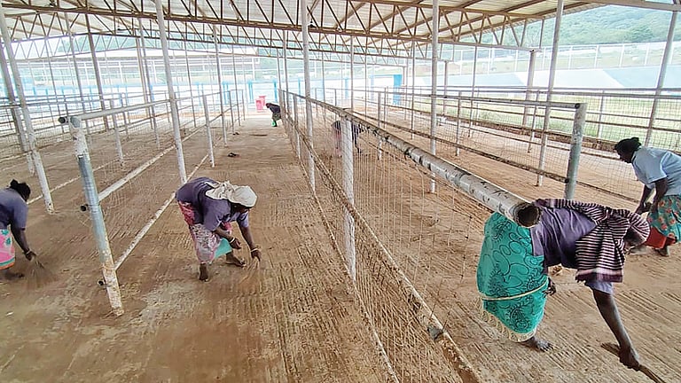 மதுரை கீழக்கரையில் டிச.5-ல் சிறப்பு ஜல்லிக்கட்டு