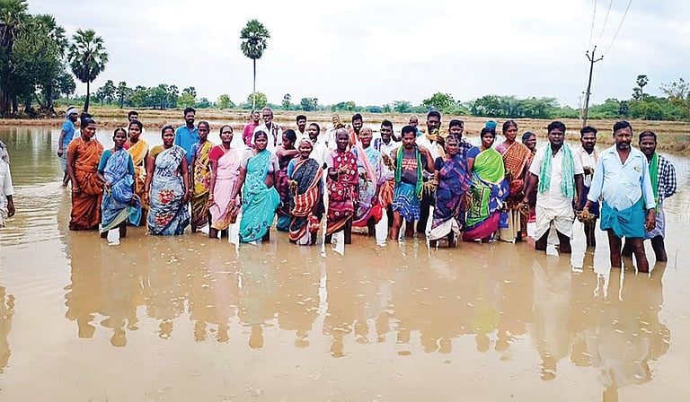 நாகையில் மழையால் பாதித்த நெற்பயிர்களுக்கு இழப்பீடு கோரி விவசாயிகள் போராட்டம்