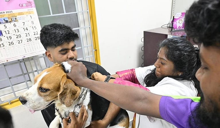 செல்லப் பிராணிகளுக்கான உரிமம்... காலக்கெடு டிச.14-ம் தேதி வரை நீட்டிப்பு