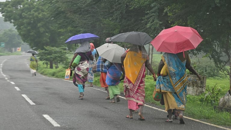 தமிழகத்தில் டிச.12 வரை மிதமான மழைக்கு வாய்ப்பு: சென்னை வானிலை ஆய்வு மையம்