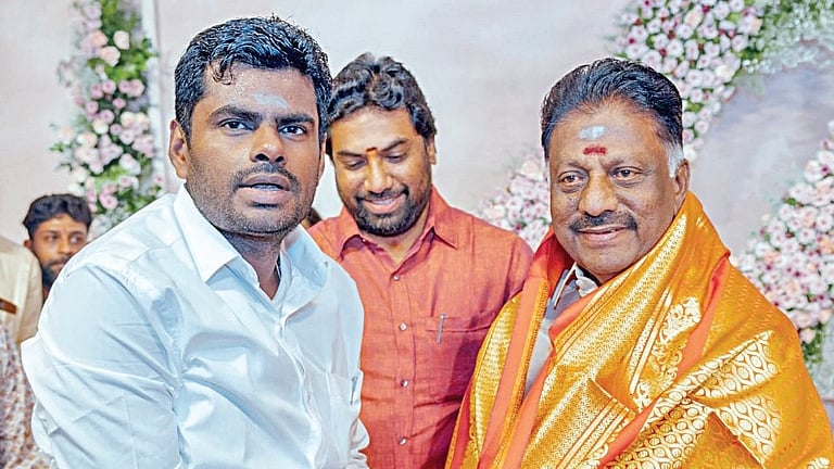 ஓ.பன்னீர்செல்வம் - அண்ணாமலை தனியே பேச்சுவார்த்தை!