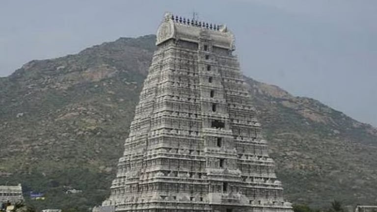 அண்ணாமலையார் கோயிலில் பக்தர்கள் 7 மணி நேரம் காத்திருந்து சுவாமி தரிசனம்