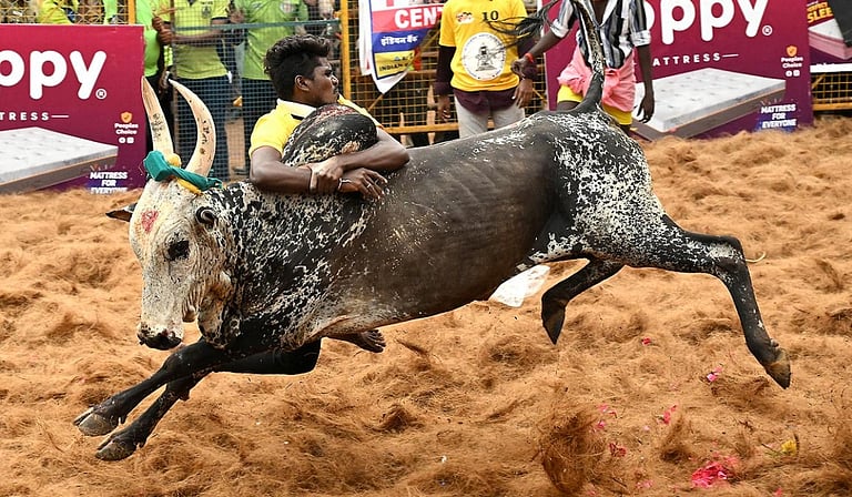 ஜன.15-ல் அவனியாபுரம், 16-ல் பாலமேடு, 17-ல் அலங்காநல்லூர்: மதுரை ஜல்லிக்கட்டு தேதிகள் அறிவிப்பு