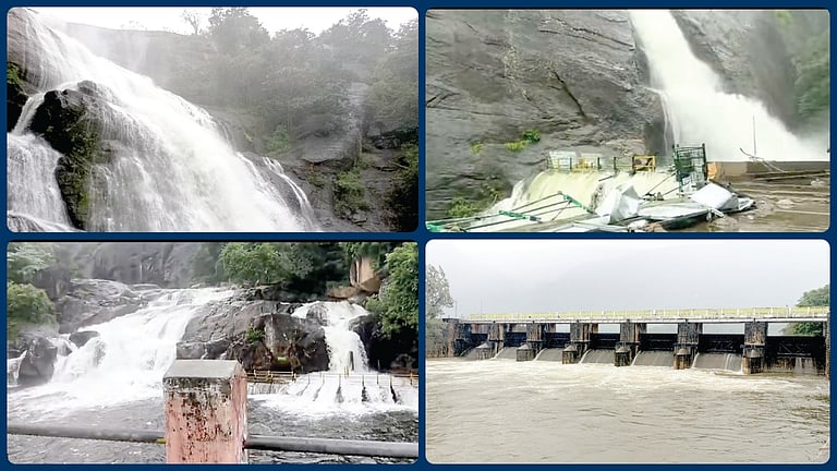 மணிமுத்தாறு, குற்றாலம் அருவிகளில் வெள்ளப் பெருக்கு