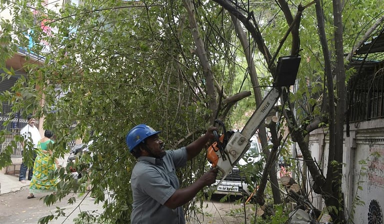 சென்னையில் அனுமதியின்றி பொது இடங்களில் மரம் வெட்டுவோருக்கு ரூ.1 லட்சம் அபராதம்!