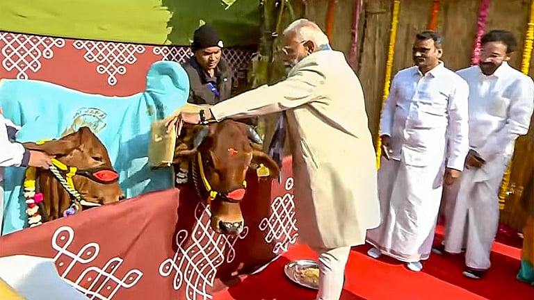 எல்.முருகன் வீட்டில் பொங்கல் விழா: பிரதமர் மோடி, தமிழக பாஜக நிர்வாகிகள் பங்கேற்பு