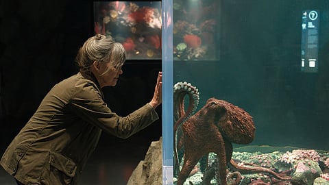 Sally Field in 'Remarkably Bright Creatures'