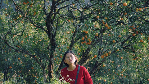 A still from the film