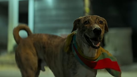 A still from the film