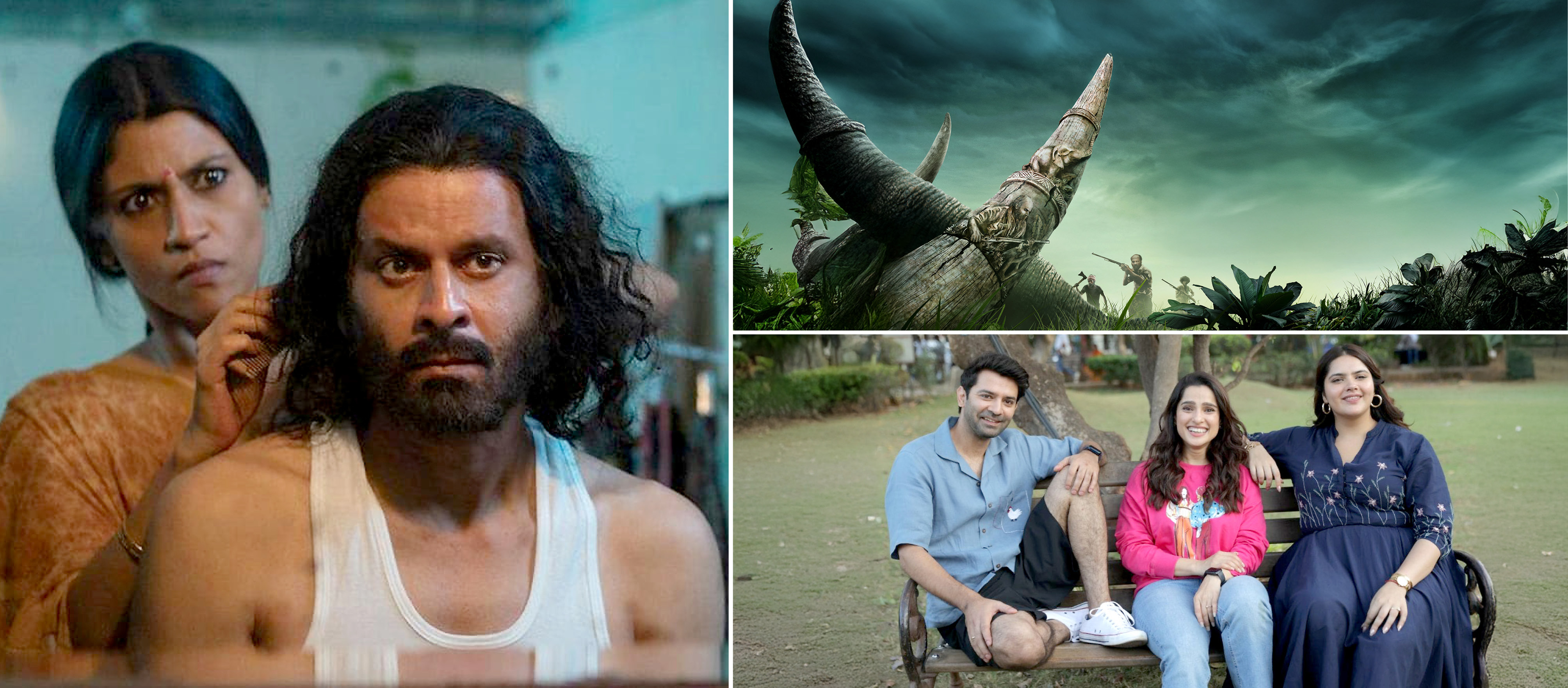 The best of streaming shows in 2024: 'Raat Jawaan Hai,' 'Pocher' and more