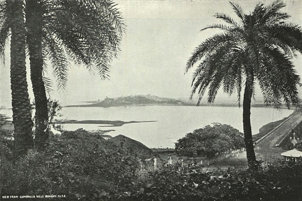 An old black-and-white photograph of the sea and trees.