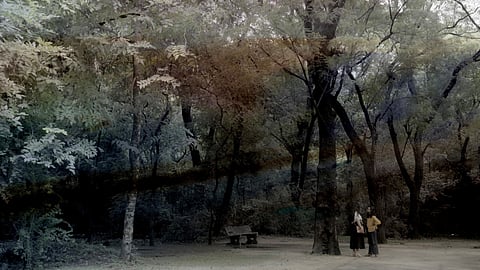 'B and S' is a continuation of Lipika's inquiry into the connections between memory, love, and identity.