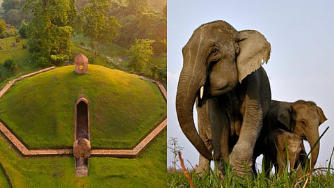 Here's a Homegrown Travel Guide to everything you must see in Assam: