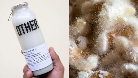 The OTHER Konkon Amazake is the world’s first sake-like beverage made entirely from Indica rice grown in Konkan region.