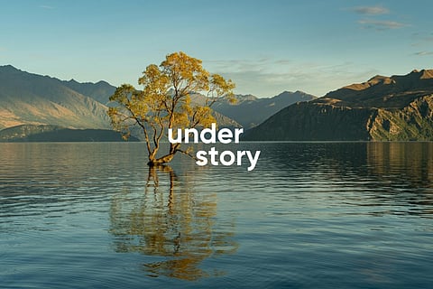 The Understory is creating space for indigenous knowledge and paving the way to a brighter, more sustainable future. 
