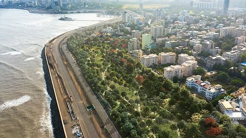 The Mumbai Coastal Forest Project is an initiative that's entirely grassroots; cultivated through scientific insight, and public demand. 