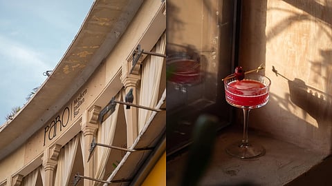 Image of Modern Indian Bar Paro in Jaipur as well as a cocktail from here that is culturally rooted