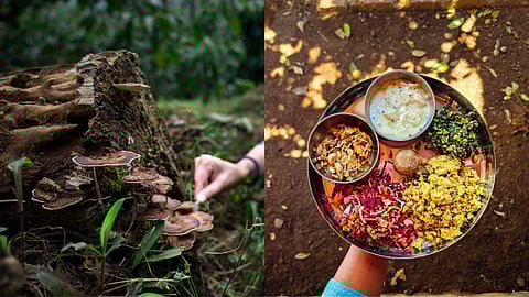 Left: Wild fungi growing on a dead tree trunk in a Beforest Collective. Right: a platter of food sourced from a Beforest Collective agroforest.