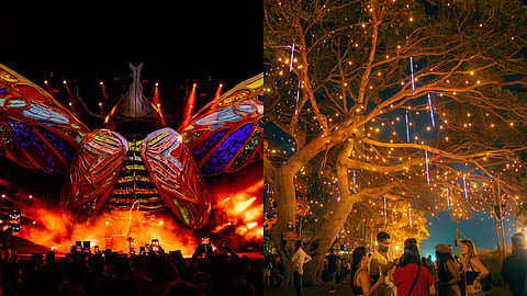 The festival extends beyond music and art by involving citizens and communities actively in sustainability efforts.