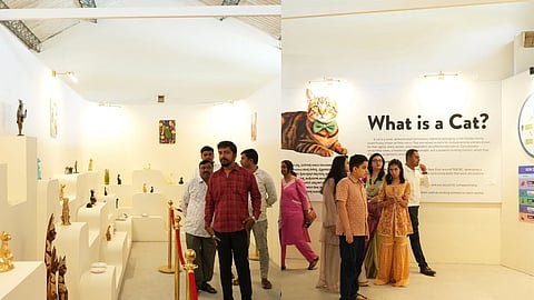 More than just an attraction, this space blends education with experience.