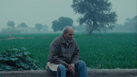 'The Calf Doll' by Ankur Hooda