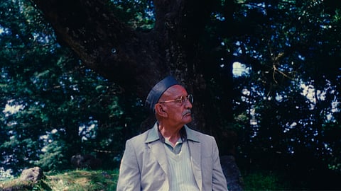 At its core, ‘Days in the Forest’ is a reflection on storytelling, memory, and the tense encounter between urban life and the elemental world.