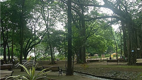 The lush gardens of Empress Gardens