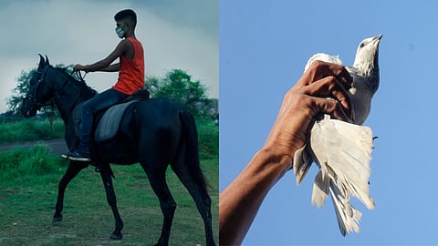  ‘A New World’  explores the implications of land acquisition, ecological destruction, caste privilege, and the enduring colonial logics embedded within India’s urban development.