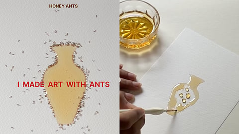 Honey Ants is an artwork by Indian visual artist Imdad Barbhuyan that emerged from years of observing ants in their home. 