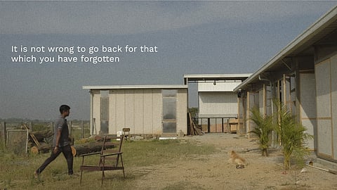 Studio grounds with modern structure and wooden chair