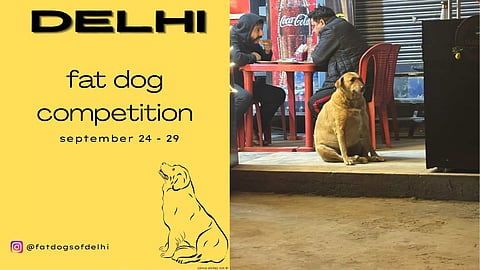 'Fat Dogs of Delhi', an Instagram page featuring fat dogs from the city, has announced an online fat dog competition — 64 dogs enter, one dog wins, and the netizens get to pick the winner through Instagram polls. 