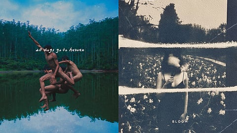 The Homegrown Handpicked Playlist For September 
