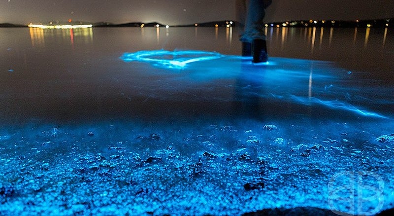 India's 21 Most Unique Natural Phenomena To Experience Firsthand