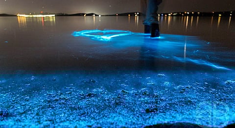 India's 21 Most Unique Natural Phenomena To Experience Firsthand