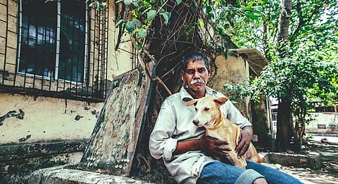 Of Mongrels And Their Keepers