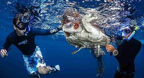 Mid-week Envy: 27 Ridiculously Awesome Jobs You Wish You Had Today