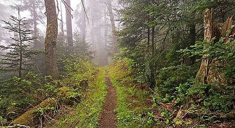 Here Are 5 Treks Around Bangalore For Your Next Weekend Adventure