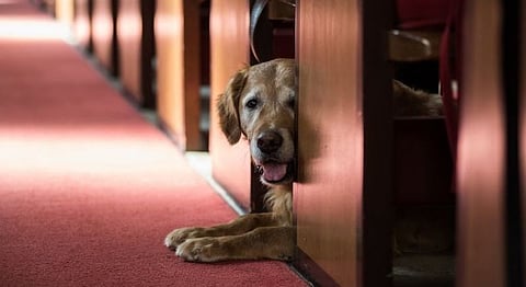 Representational Image