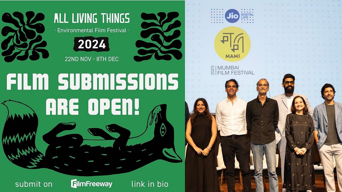 7 Film Festivals You Can Apply to in 2024 Homegrown