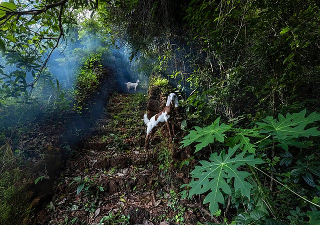 Greenara Greenara: How This Sustainable, Eco-Friendly Farmstay In Kerala ...
