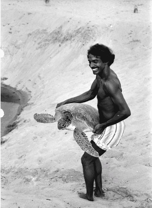 Turtle Walker: A New Documentary Tells The Untold Story Of Satish ...