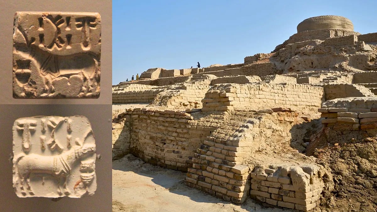 The Indus Script Mystery: Can You Crack This Million-Dollar Challenge?