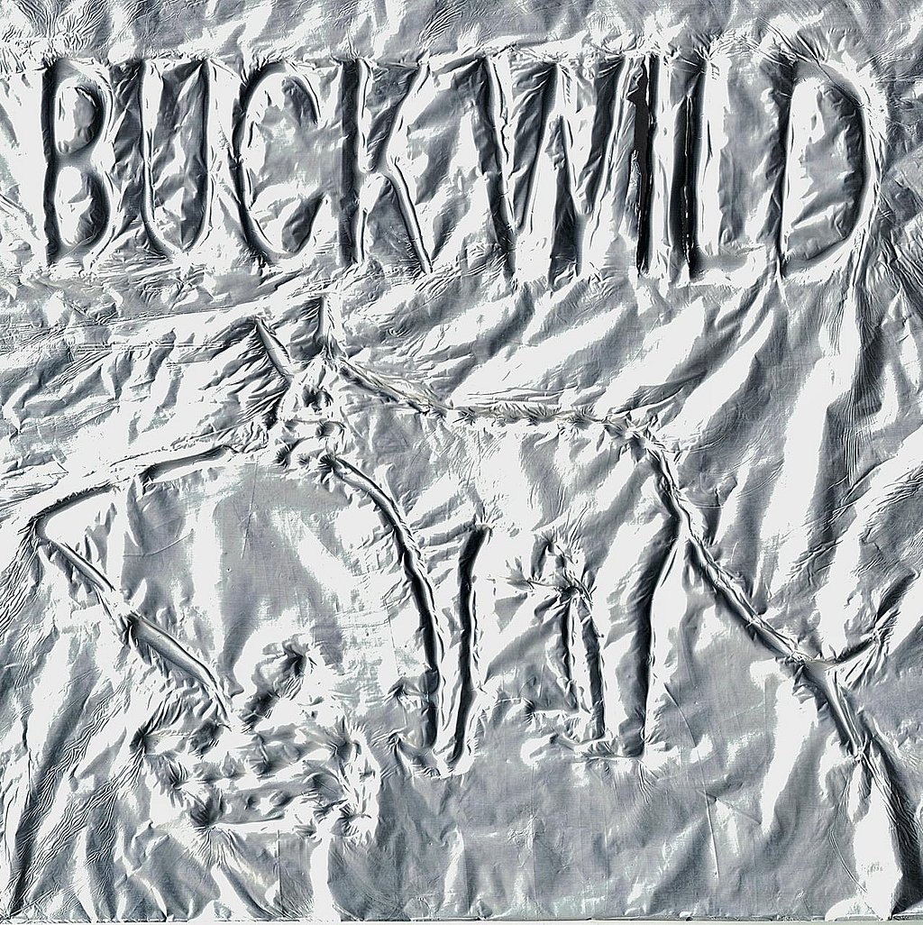From Acoustic Folk to Electronic Frenzy: Karshni Nair’s Buck Wild ...