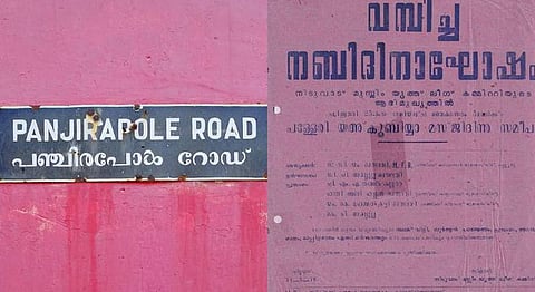 Poja Lettering India Street Lettering: Designer Pooja Saxena's New Zines Celebrate The ...