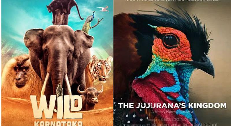 The Natural World In Motion: Homegrown Wildlife Documentaries On Our Radar